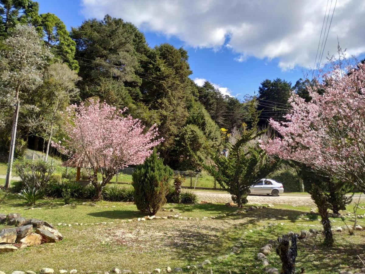 فندق Colonia Saa Campos do Jordão المظهر الخارجي الصورة