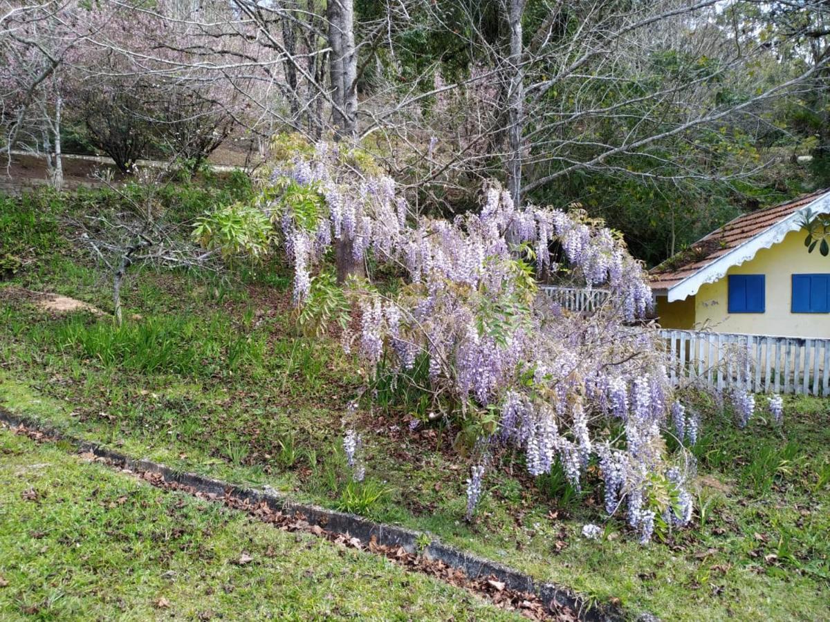 فندق Colonia Saa Campos do Jordão المظهر الخارجي الصورة
