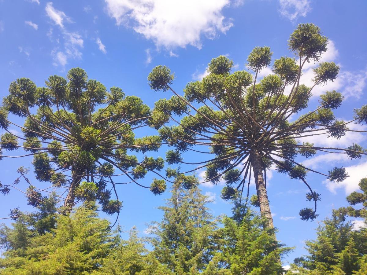 فندق Colonia Saa Campos do Jordão المظهر الخارجي الصورة